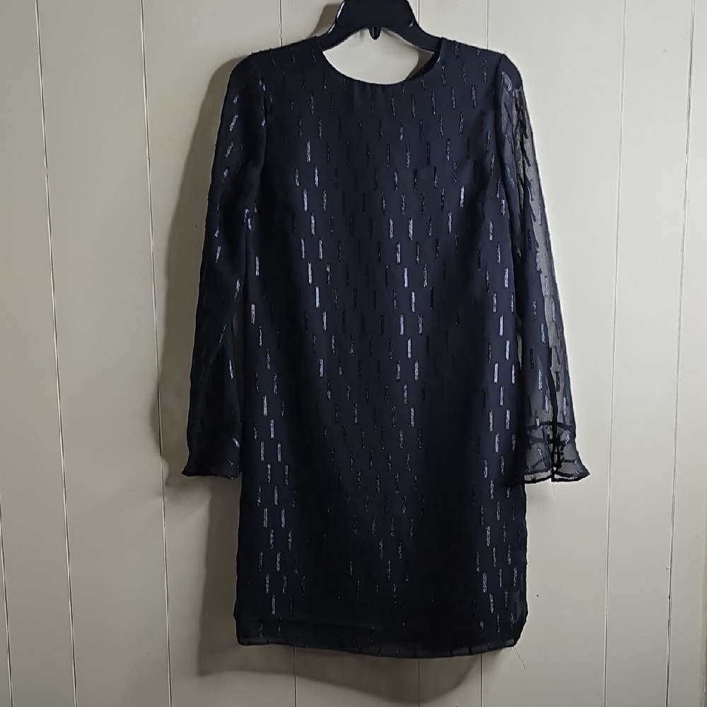 Elegant Black Sheer Sleeve Dress